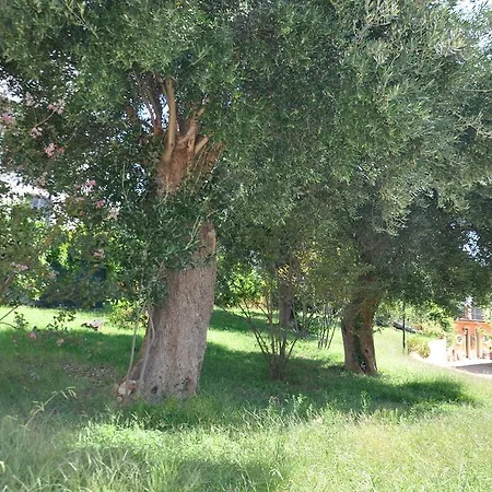 Baia Infreschi مارينا دي كاميروتا